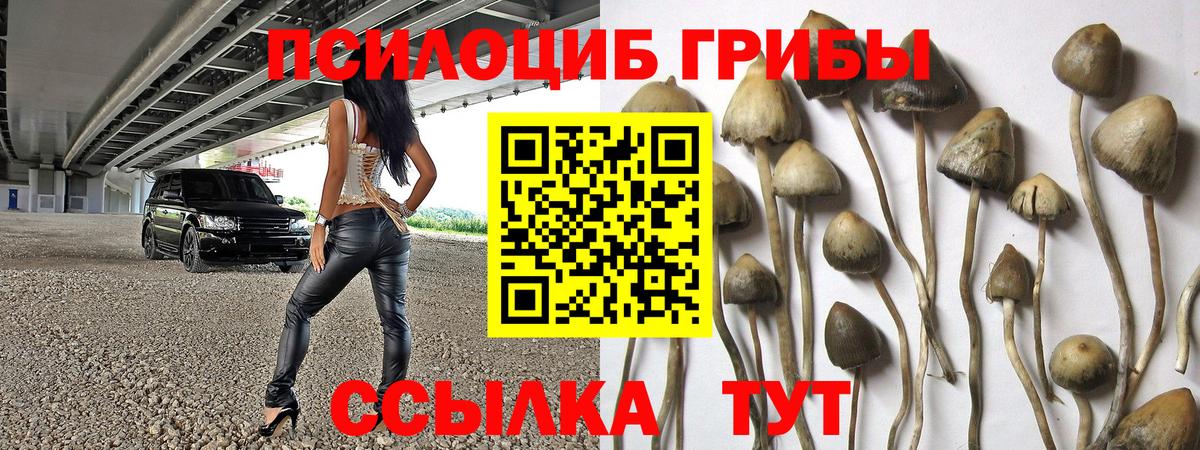 Галлюциногенные грибы ЛСД  Вход с VPN  Знаменск 